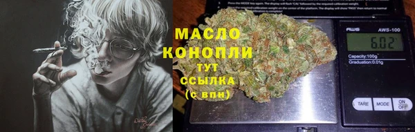 хмурый Аркадак