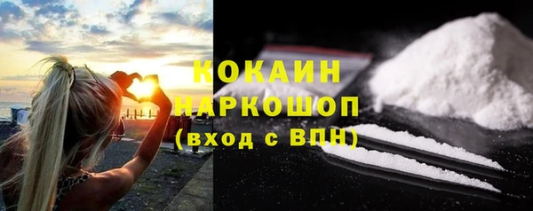 хмурый Аркадак