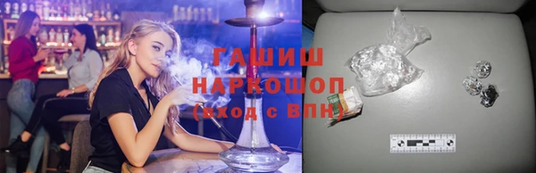 хмурый Аркадак