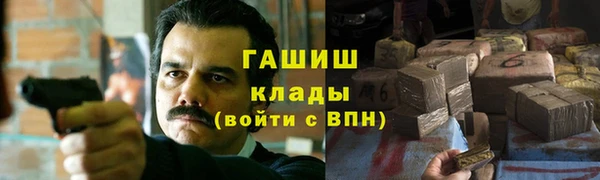 хмурый Аркадак