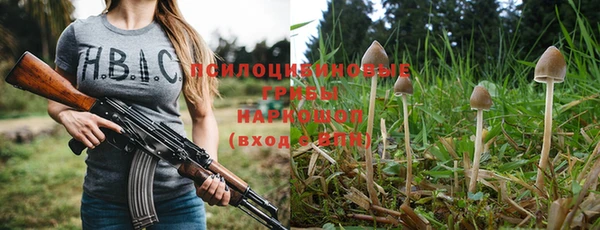 сатива Баксан