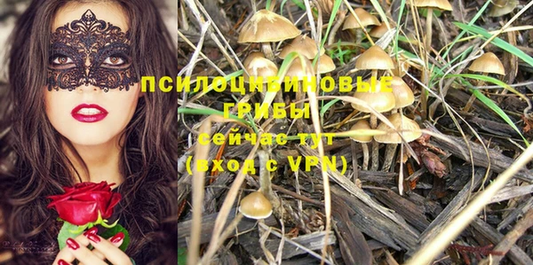 сатива Баксан