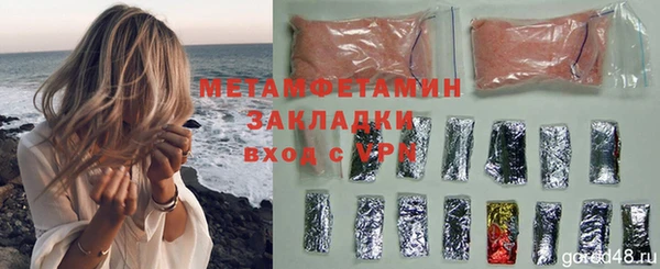 хмурый Аркадак