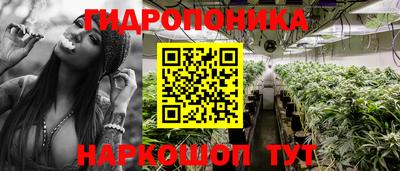 соль ск Комсомольск-на-Амуре