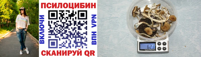 Галлюциногенные грибы MAGIC MUSHROOMS  Куйбышев 