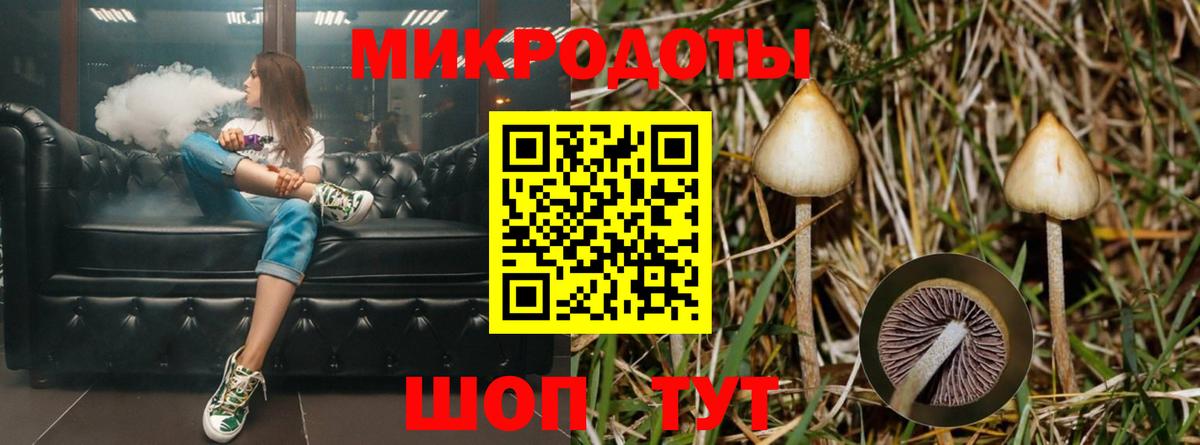 Псилоцибиновые грибы Cubensis Куйбышев